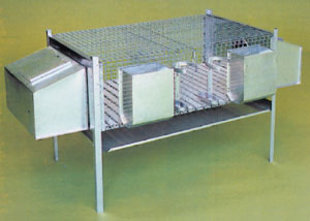 Cage pour lapin à 2 compartiments.