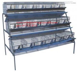 cage lapin engraissement