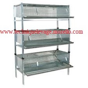 cage caille
